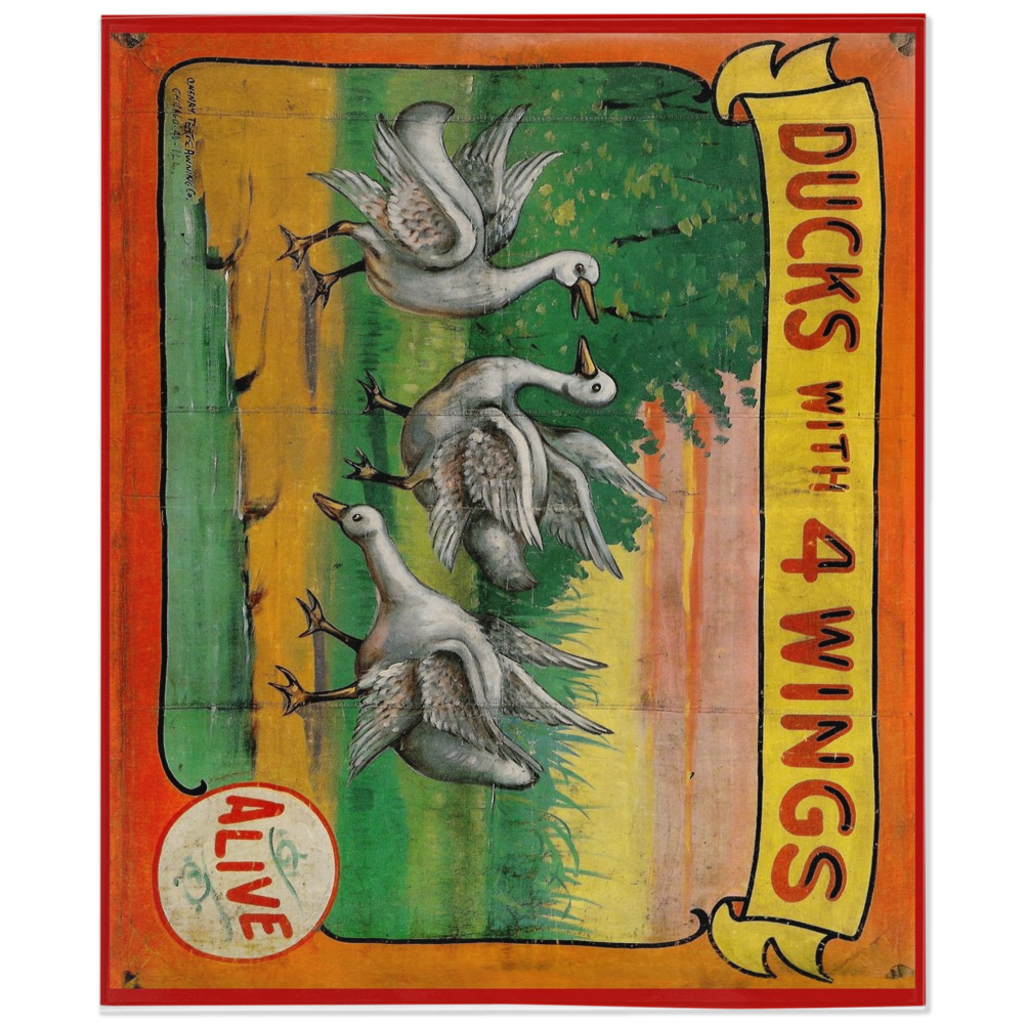 Ducks Blanket