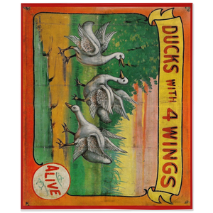 Ducks Blanket