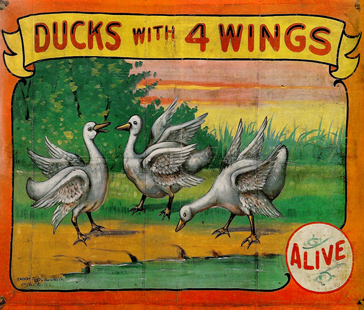 Antique Freak Show Side Show Banner replica tapestry 50X60" 4 winged ducks
