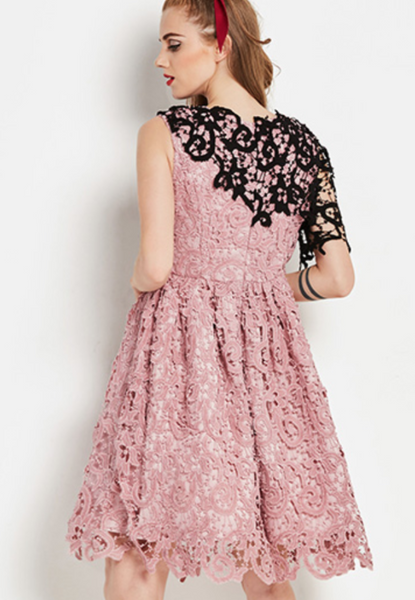 Contrast Black and Pastel Pink Exposed Shoulder Fit and Flare Dress